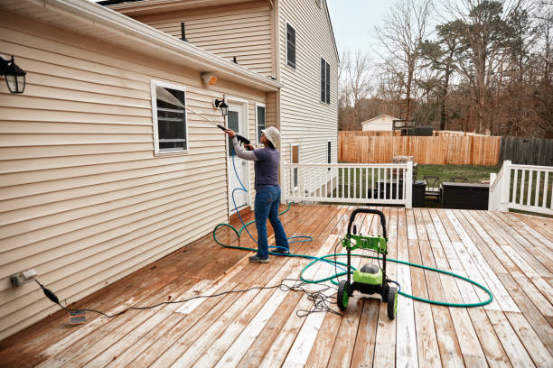 Best Deck Cleaning Services  in Palmhurst, TX