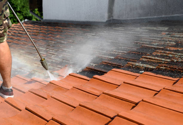 Why Choose Our Certified Pressure Washing Experts for Your Project Needs in Palmhurst, TX?