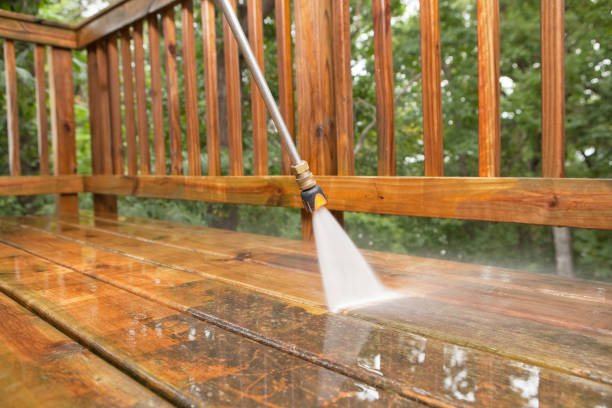 Best Pressure Washing Estimates  in Palmhurst, TX