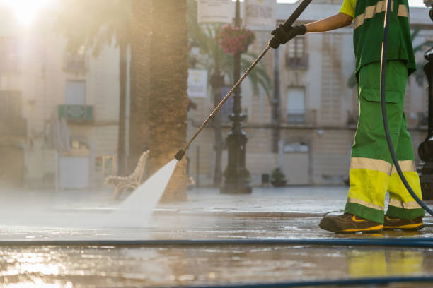 Best Deck Cleaning Services  in Palmhurst, TX