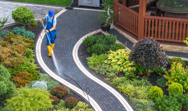 Best Residential Pressure Washing Services  in Palmhurst, TX