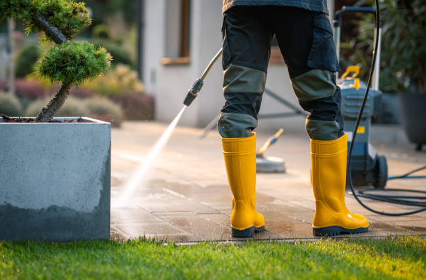 Best Fence Pressure Washing  in Palmhurst, TX